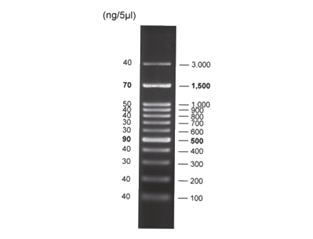 Kachel DNA Elpo 2.png